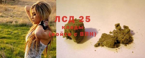 твердый Алзамай
