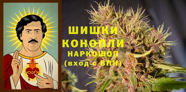 твердый Алзамай