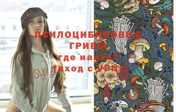 ешки Алексин
