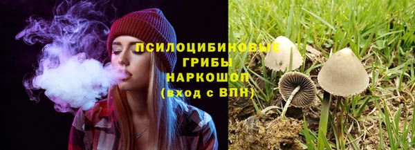ешки Алексин