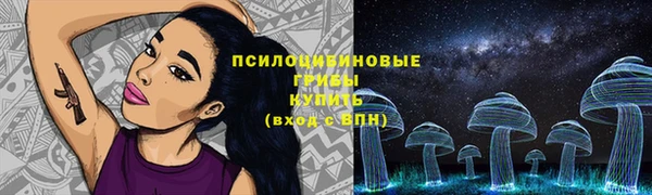 ECSTASY Алексеевка