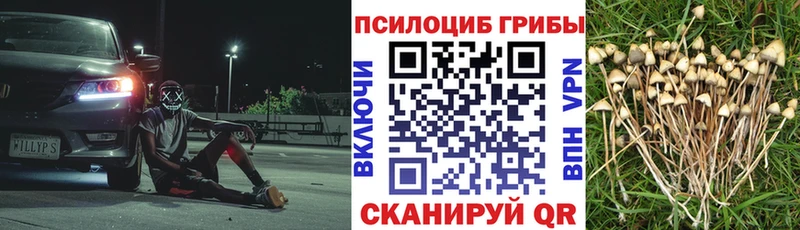 KRAKEN tor  купить наркотик  Ейск  Псилоцибиновые грибы Psilocybe 